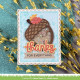 LAWN FAWN Stitched Acorn Frame Dies