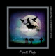 Lavinia Stamps Poe & Noctis Stamp