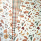 Echo Park Feels Like Fall Collection Kit 30x30cm