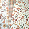 Echo Park Feels Like Fall Collection Kit 30x30cm