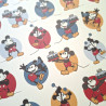 Echo Park Mouse And Me Birthday Collection Kit 30x30cm