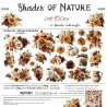 Craft o' Clock Shades Of Nature Extras to Cut FLOWERS & MORE 30,5x31,5cm
