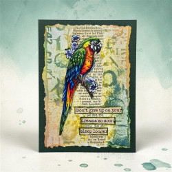 AALL & Create Stamp Set A6 1331 Letter Party