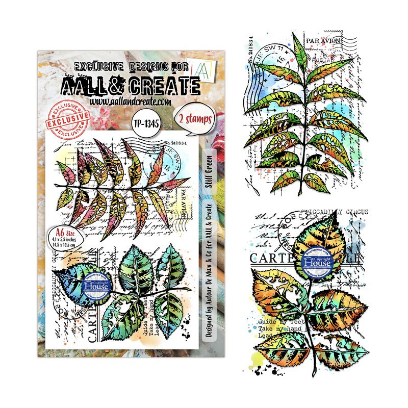 AALL & Create Stamp Set A6 1345 Still Green