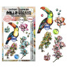 AALL & Create Stamp Set A6 1347 Bubbly Toucan
