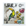 AALL & Create Stamp Set A6 1347 Bubbly Toucan