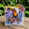 AALL & Create Stamp Set A6 1347 Bubbly Toucan