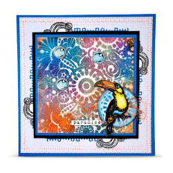 AALL & Create Stamp Set A6 1347 Bubbly Toucan