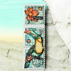 AALL & Create Stamp Set A6 1347 Bubbly Toucan