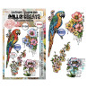 AALL & Create Stamp Set A6 1348 Parrot Song