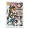 AALL & Create Stamp Set A6 1348 Parrot Song
