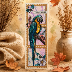 AALL & Create Stamp Set A6 1348 Parrot Song