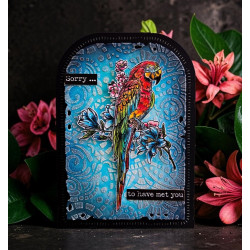 AALL & Create Stamp Set A6 1348 Parrot Song
