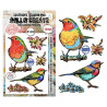 AALL & Create Stamp Set A6 1349 Robin Sprout