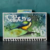AALL & Create Stamp Set A6 1349 Robin Sprout