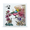AALL & Create Stamp Set A6 1349 Robin Sprout