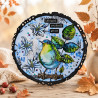 AALL & Create Stamp Set A6 1349 Robin Sprout