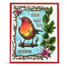 AALL & Create Stamp Set A6 1349 Robin Sprout