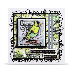 AALL & Create Stamp Set A7 1350 Whistling Finch