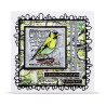 AALL & Create Stamp Set A7 1350 Whistling Finch