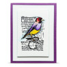 AALL & Create Stamp Set A7 1350 Whistling Finch