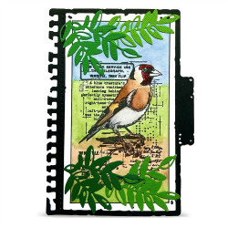 AALL & Create Stamp Set A7 1350 Whistling Finch