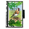 AALL & Create Stamp Set A7 1350 Whistling Finch