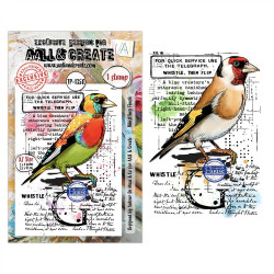 AALL & Create Stamp Set A7 1350 Whistling Finch