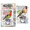 AALL & Create Stamp Set A7 1350 Whistling Finch