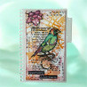 AALL & Create Stamp Set A7 1350 Whistling Finch