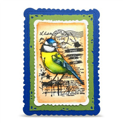 AALL & Create Stamp Set A7 1351 Hearted Tit