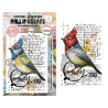 AALL & Create Stamp Set A7 1352 Cardinal Stare