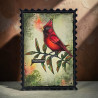AALL & Create Stamp Set A7 1352 Cardinal Stare