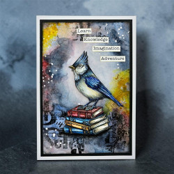 AALL & Create Stamp Set A7 1352 Cardinal Stare