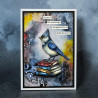 AALL & Create Stamp Set A7 1352 Cardinal Stare
