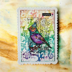 AALL & Create Stamp Set A7 1352 Cardinal Stare
