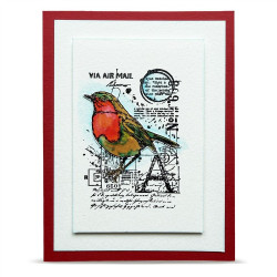 AALL & Create Stamp Set A7 1353 Mailbird A