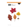 HERO ARTS Cozy Season Die Set Lovely Little Leaves