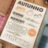 Tommy Bundle AUTUNNO