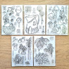 L'Encre et l'Image Very Slowly Clear Stamp