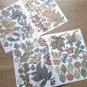 ARDEN Creative Studio Amber Ledgers Foliage Laser Cuts (85pcs) by Katie Pertiet