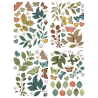 ARDEN Creative Studio Amber Ledgers Foliage Laser Cuts (85pcs) by Katie Pertiet