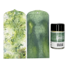 Lindy's Stamp Gang Amber Ledgers Magical Shaker 2.0 SET by Katie Pertiet