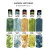 Lindy's Stamp Gang Amber Ledgers Magical Shaker 2.0 SET by Katie Pertiet