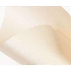 5 Fogli A4 Carta Perlata Cipria 285 gsm