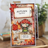 AALL & Create Stamp Set A7 1514 Sportacular