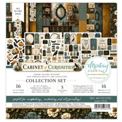 Mintay Papers Cabinet of Curiosities Collection Set 16pz