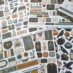Mintay Papers Cabinet of Curiosities Collection Set 16pz