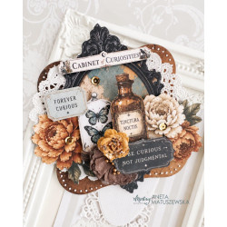 Mintay Papers Cabinet of Curiosities Collection Set 16pz
