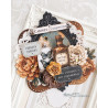 Mintay Papers Cabinet of Curiosities Collection Set 16pz